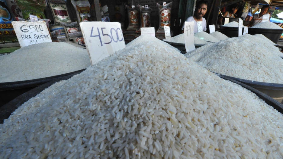 Advocate asian immigrant woman Asian rice crisis